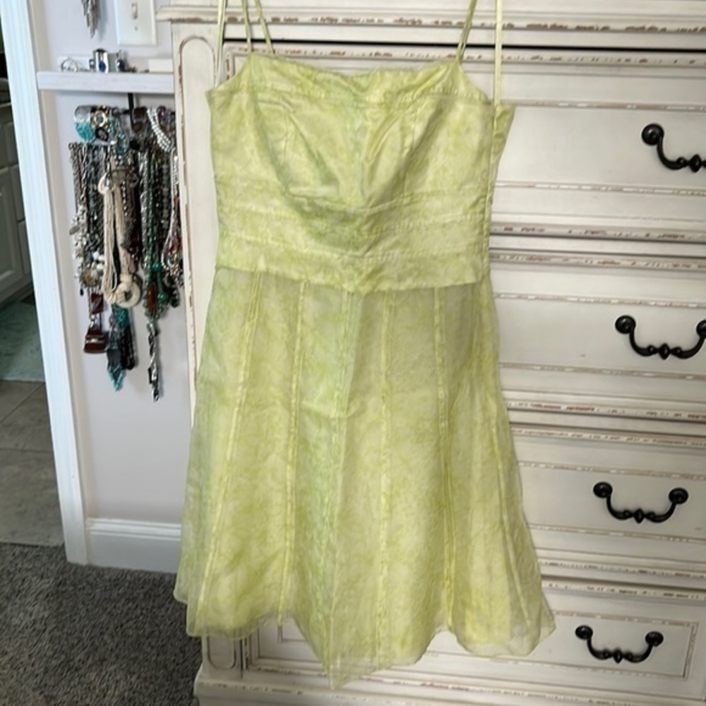 Ann Taylor‎ Pastel Green Silk Spaghetti Strap Dress Size 8 NWT